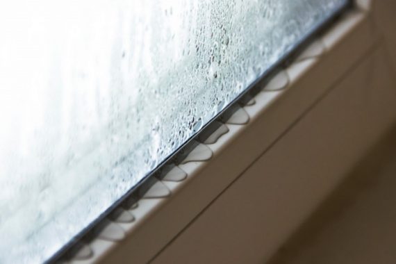 What are the main causes of mould in your home?