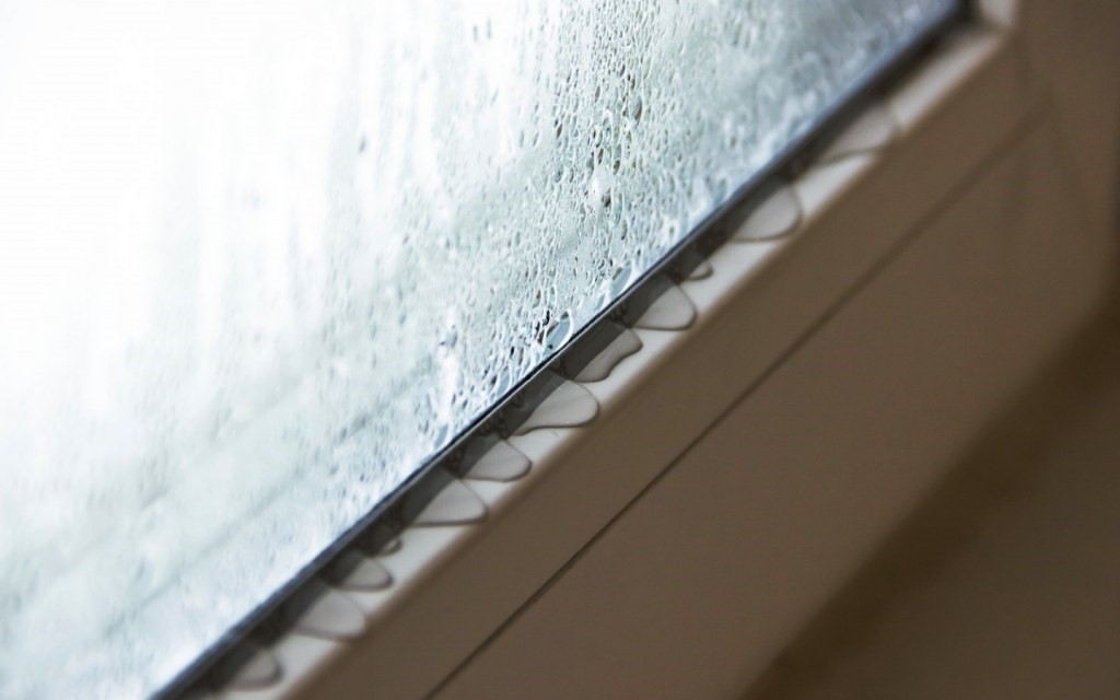 What are the main causes of mould in your home?