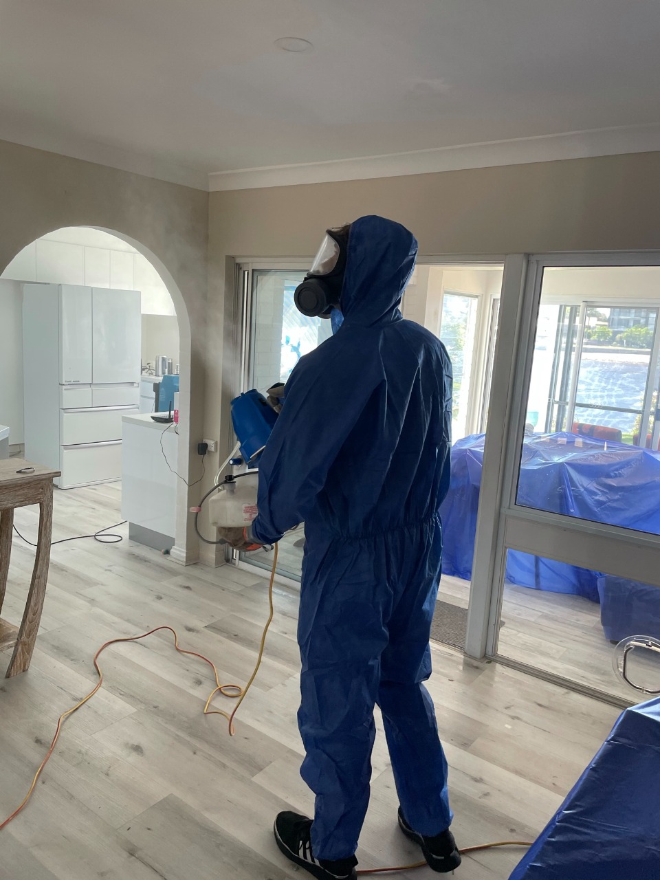 Quisque id maximus leo